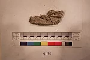 Stucco Fragment by Unknown Artist