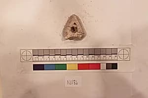 Stucco Fragment by Unknown Artist