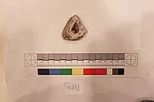 Stucco Fragment by Unknown Artist