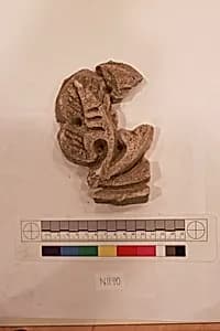 Stucco Fragment by Unknown Artist