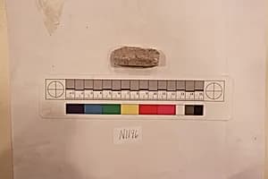 Stucco Fragment by Unknown Artist