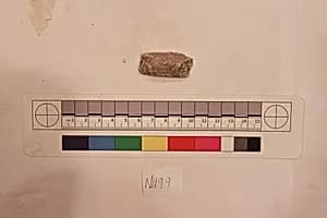 Stucco Fragment by Unknown Artist