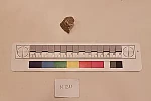 Stucco Fragment by Unknown Artist