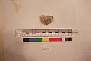 Stucco Fragment by Unknown Artist
