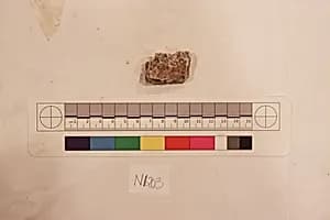Stucco Fragment by Unknown Artist