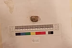 Stucco Fragment by Unknown Artist