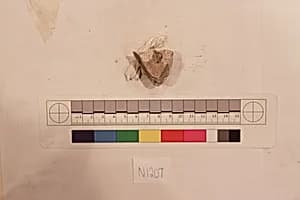 Stucco Fragment by Unknown Artist