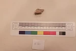 Stucco Fragment by Unknown Artist