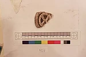 Stucco Fragment by Unknown Artist