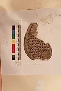 Stucco Fragment by Unknown Artist