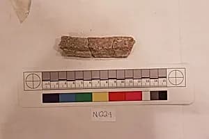 Stucco Fragment by Unknown Artist