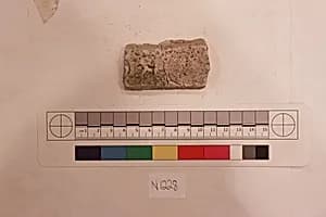 Stucco Fragment by Unknown Artist