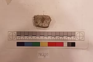 Stucco Fragment by Unknown Artist