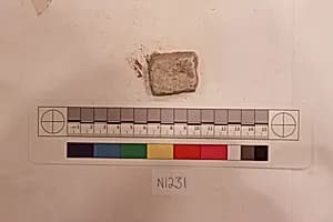 Stucco Fragment by Unknown Artist