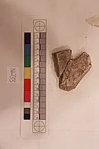 Stucco Fragment by Unknown Artist