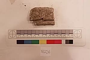 Stucco Fragment by Unknown Artist