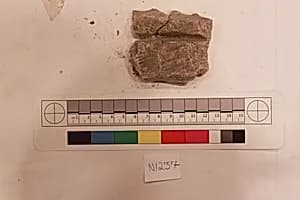 Stucco Fragment by Unknown Artist