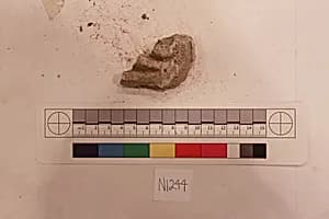 Stucco Fragment by Unknown Artist
