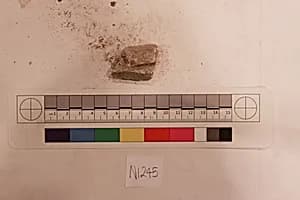 Stucco Fragment by Unknown Artist