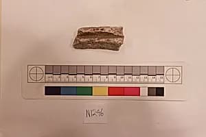 Stucco Fragment by Unknown Artist