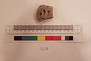 Stucco Fragment by Unknown Artist