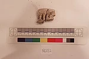 Stucco Fragment by Unknown Artist