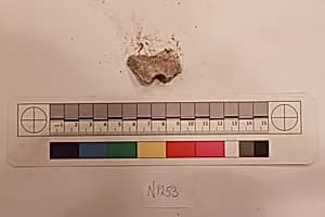 Stucco Fragment by Unknown Artist