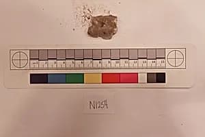 Stucco Fragment by Unknown Artist
