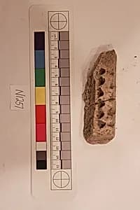 Stucco Fragment by Unknown Artist
