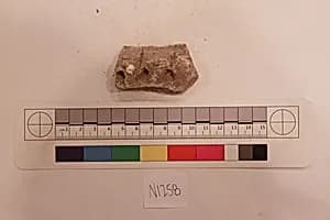 Stucco Fragment by Unknown Artist