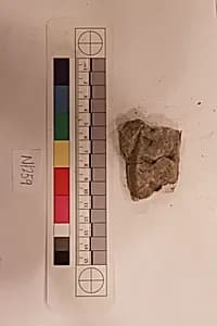 Stucco Fragment by Unknown Artist
