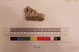 Stucco Fragment by Unknown Artist