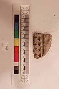 Stucco Fragment by Unknown Artist