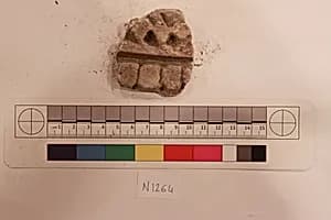 Stucco Fragment by Unknown Artist