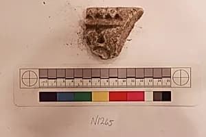 Stucco Fragment by Unknown Artist