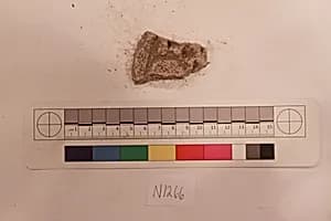 Stucco Fragment by Unknown Artist