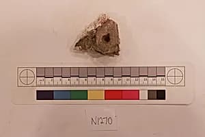 Stucco Fragment by Unknown Artist