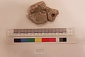 Stucco Fragment by Unknown Artist