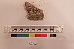 Stucco Fragment by Unknown Artist
