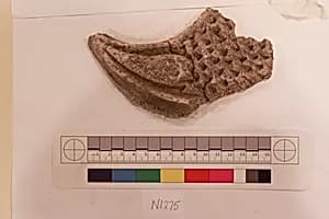 Stucco Fragment by Unknown Artist