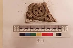 Stucco Fragment by Unknown Artist