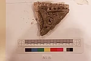 Stucco Fragment by Unknown Artist