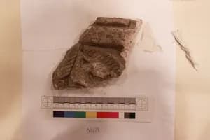Stucco Fragment by Unknown Artist