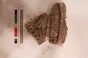 Stucco Fragment by Unknown Artist