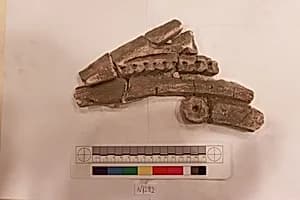 Stucco Fragment by Unknown Artist