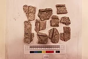 Stucco Fragment by Unknown Artist