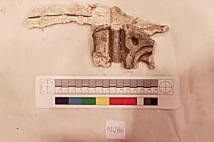 Stucco Fragment by Unknown Artist