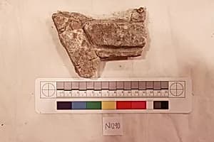 Stucco Fragment by Unknown Artist