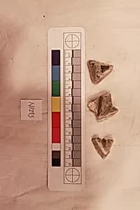 Stucco Fragment by Unknown Artist