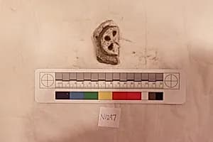 Stucco Fragment by Unknown Artist